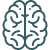 brain